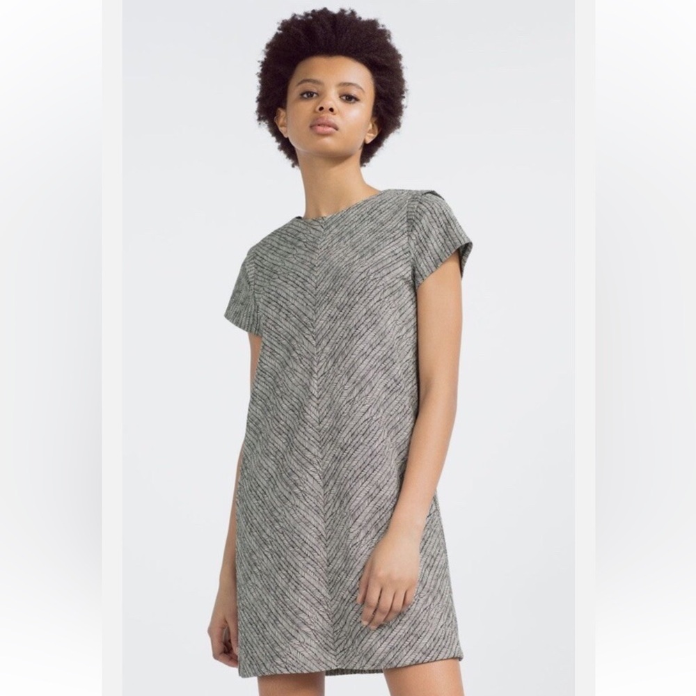 Zara Black and White Feather Leaf Stripe Pattern Shift dress, M